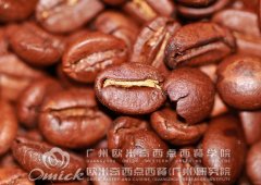 廣州歐米奇推薦5種美味原鄉的經典國外咖啡豆